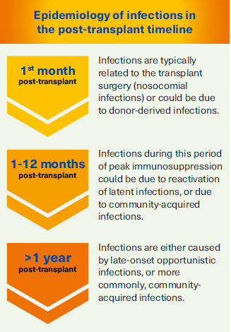 Epidemiology of infections in the post-kidney transplant timeline - SingHealth Duke-NUS Transplant Centre