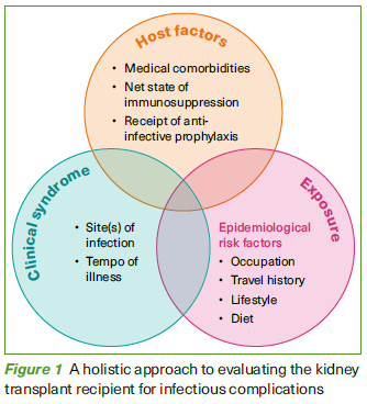 Holistic approach to evaluating the kidney transplant recipient for infectious complications - SingHealth