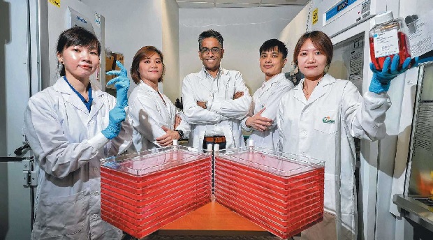  ​National Cancer Centre Singapore surgical oncologist Gopal Iyer with his team of researchers (from left), Ms Chong Fui Teen, Ms Leong Hui Sun, Dr Darren Toh and Ms Ren Mengjie, with the exosomes – tiny packages of genetic information produced by all cells and which act as messengers between the cells - they have produced. ST PHOTO KEVIN LIM  