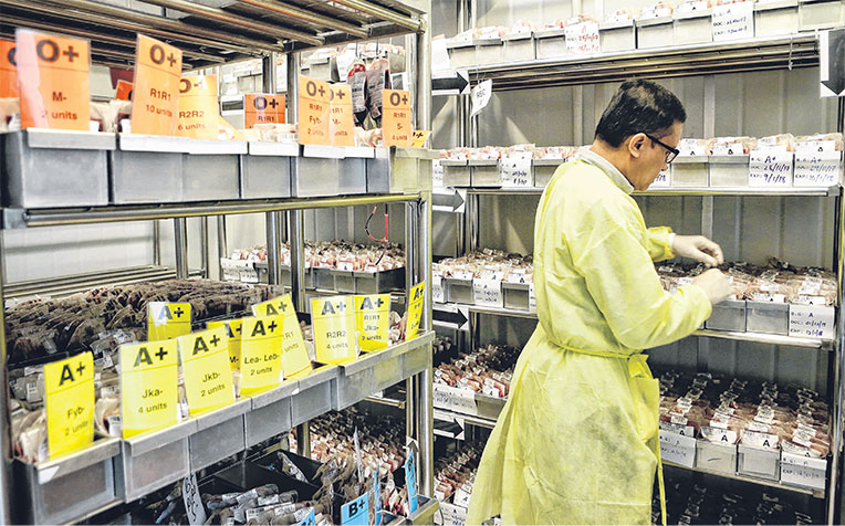 organising labelled blood bags kept in storage at the blood processing lab of the Health Sciences Authority.