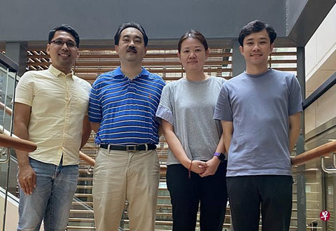 Local team accurately measures telomeres to estimate risk of disease in human ageing