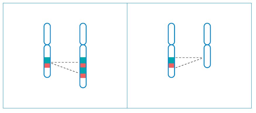 Extra or missing parts of chromosomes