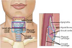 hypopharyngeal cancers symptoms